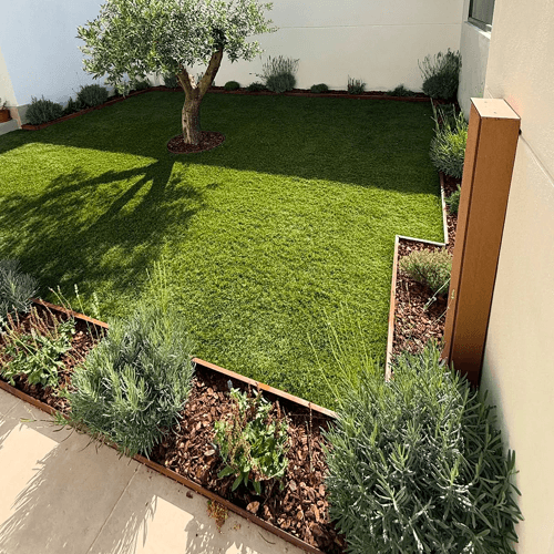 modern-backyard-garden