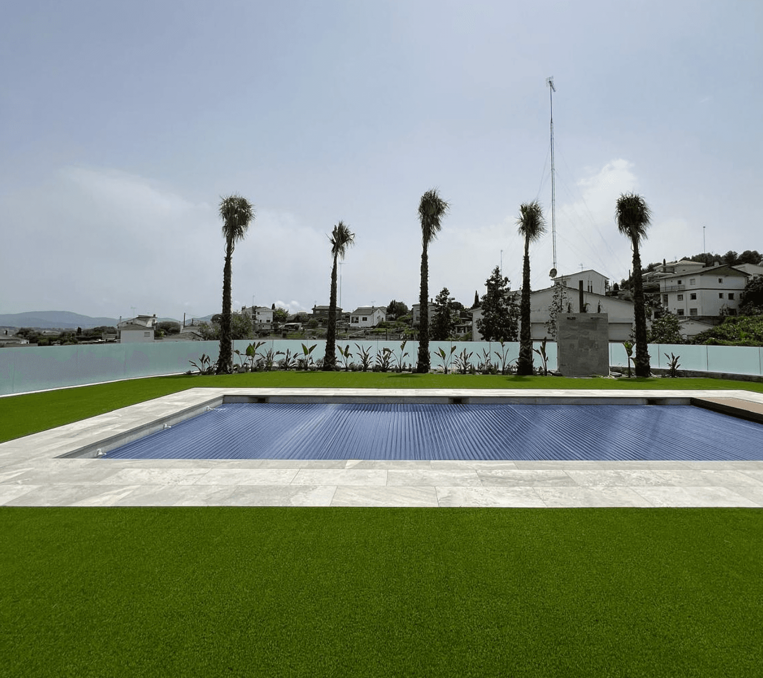 pool-palm-backyard