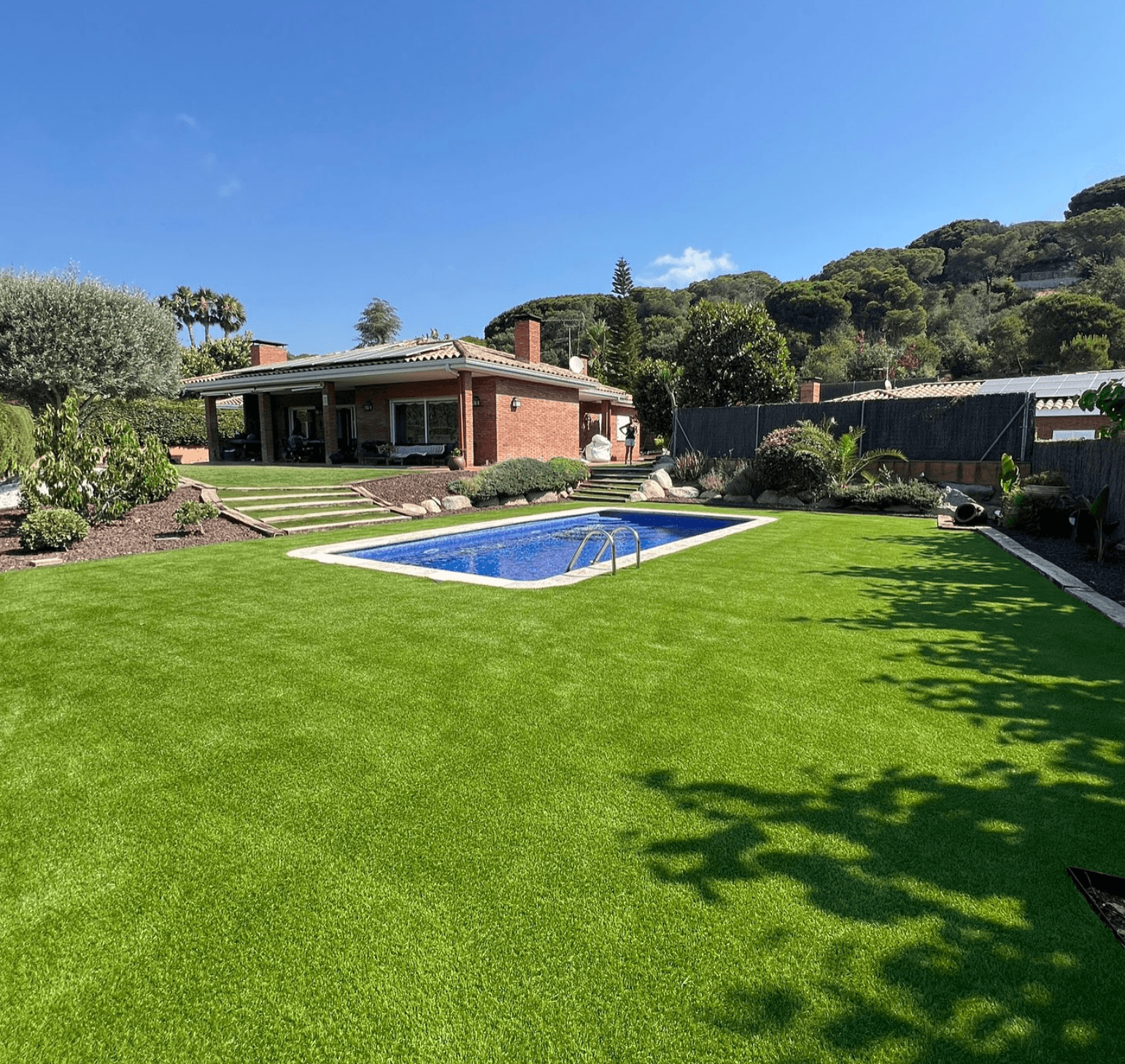 backyard-pool-lawn-scene